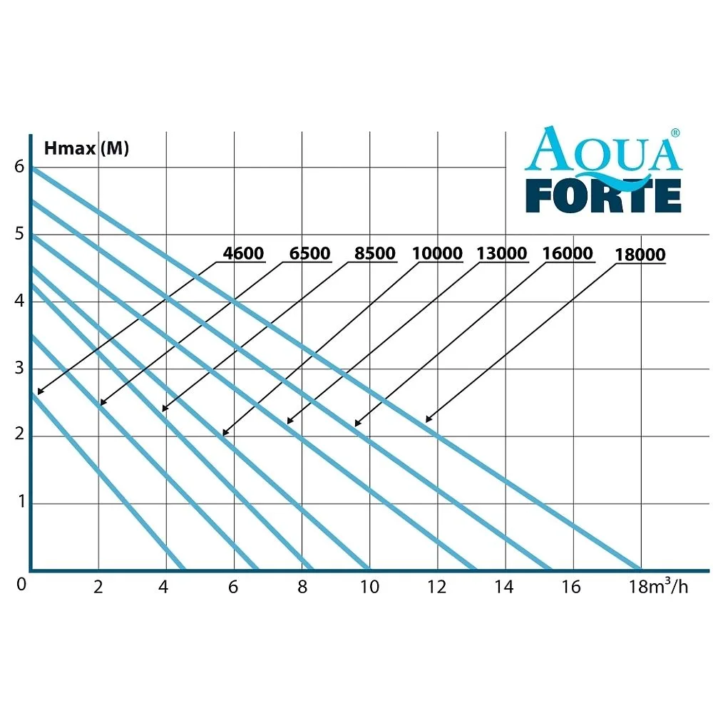 Αντλία λίμνης AquaForte EX-Series 10000 λίτρα/ώρα 3